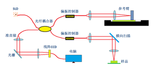 谱域OCT